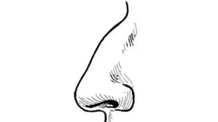 医美优质文章推荐: 关于驼峰鼻的手术方式