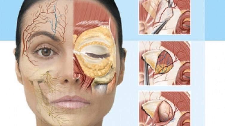 書名: Dermal Fillers: Facial Anatomy and Injection Techniques, 1st